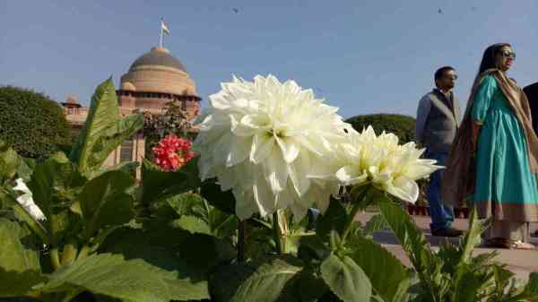 Mughal garden