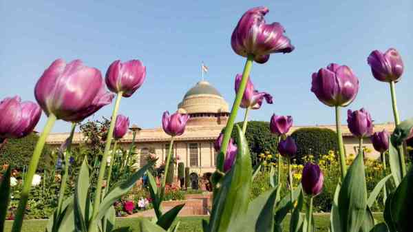 Mughal garden