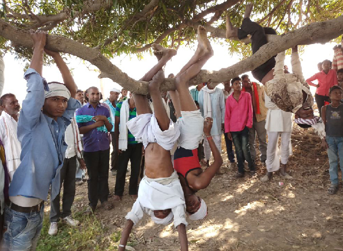 Farmers demanded by hanging on the trees