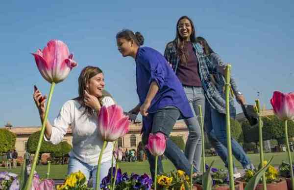 flowers bloom at mughal garden
