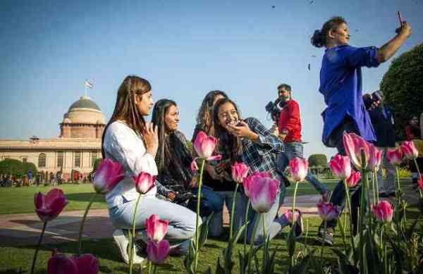 flowers bloom at mughal garden