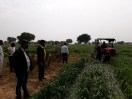Encroachment of land by Mafia in karauli