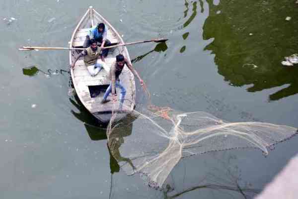 suicide in bharatpur