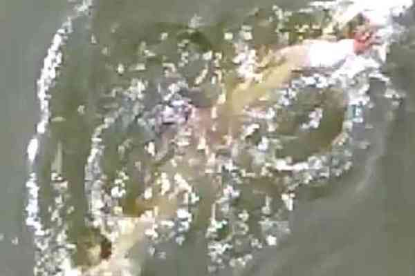 suicide in bharatpur