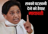 Bahujan Samaj Party income according ADR report India UP hindi news