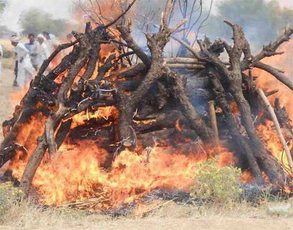 old age person stories udaipur