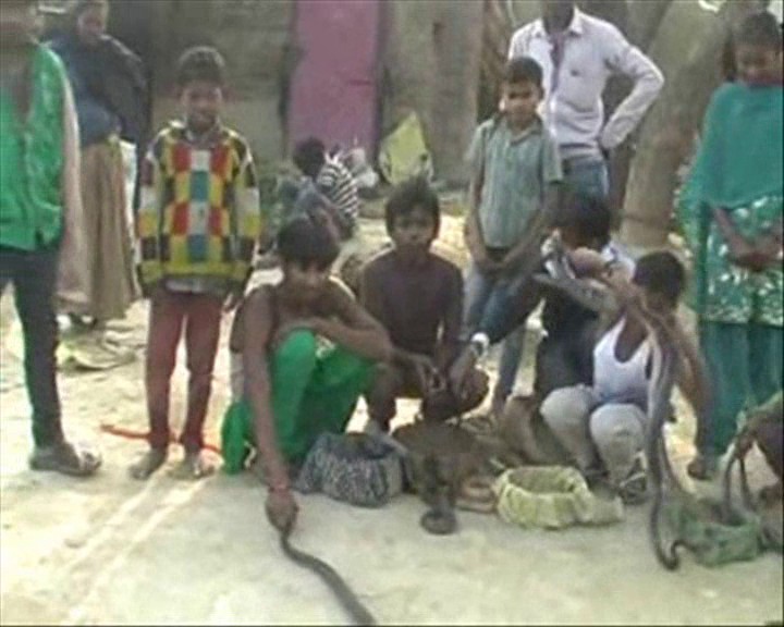 The story of this village of Kanpur is strange, the tradition of givin