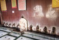 झाझीरामपुरा