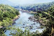 mahadayi