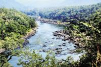 mahadayi