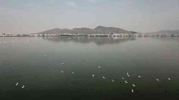people gathered to enjoy bird fair festival at anasagar lake