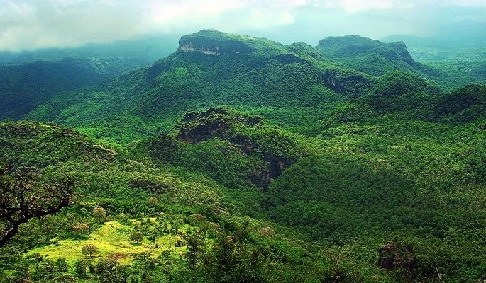 tourist hill station Pachmarhi Latest News in Hindi