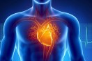 Fifty-five percent of heart patients in fifty years old