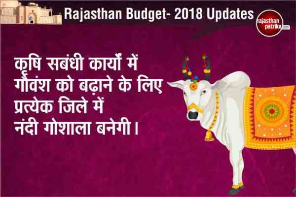 Rajasthan Budget for Farmer