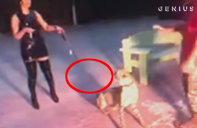 Cheetah attack singer