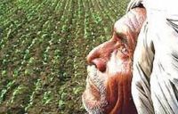 Rajasthan Budget 2018-19