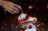 how to worship shiva