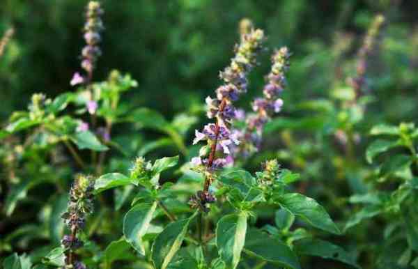 aaj ka rashifal in hindi