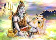Mahashivratri celebrated in alwar