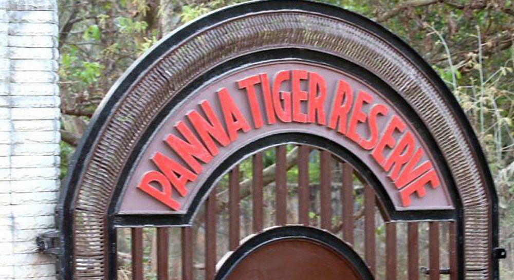 Panna tiger reserve news