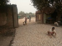 Sampurnanand Sanskrit University