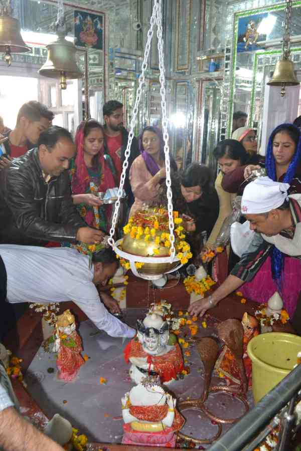 beautiful pics of mahashivratri