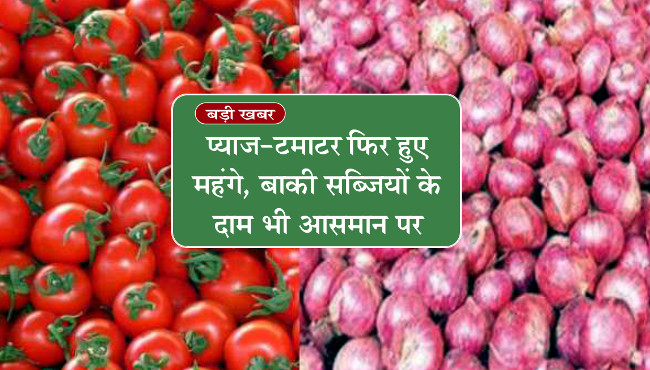 onion price rise