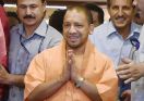 cm yogi image 