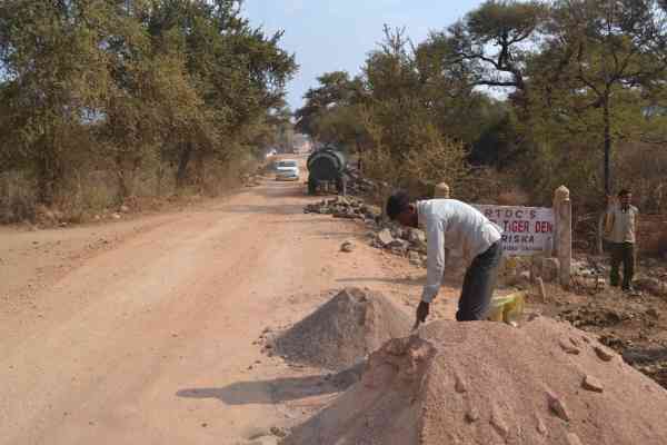 photos of illegal construction in sariska