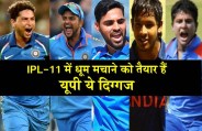 IPL 11