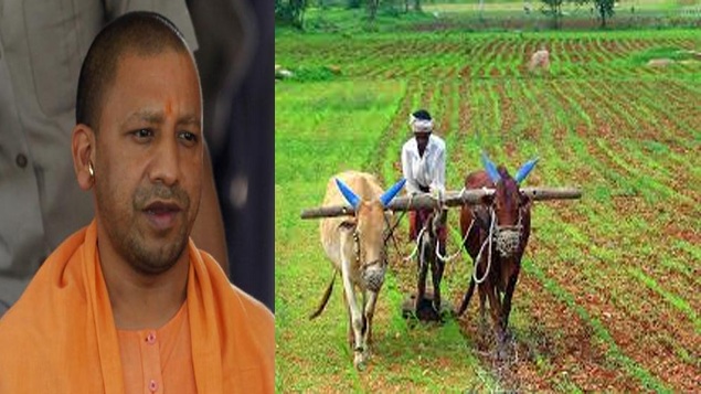 UP Cm Yogi Adityanath