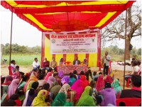 Self-dependent food adder on breeder seed