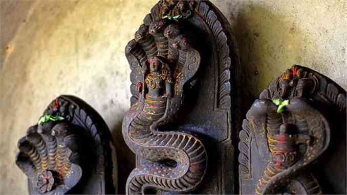 snake,Agra,Temple,Lord Shiva,unique,Shiva temple,miracle,naagdev mandir,