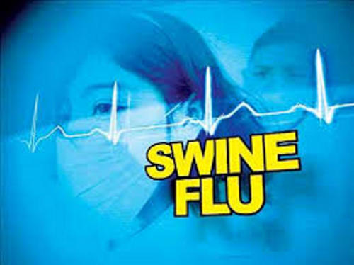 this year, 8 cases of swine flu , 2 deaths