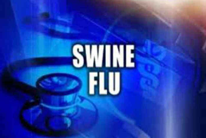 Bhilwara, bhilwara news, Maternal swine flu death in bhilwara, Latest news in bhilwara, Bhilwara News in hindi, Hindi News in bhilwara, Latest hindi news in bhilwara