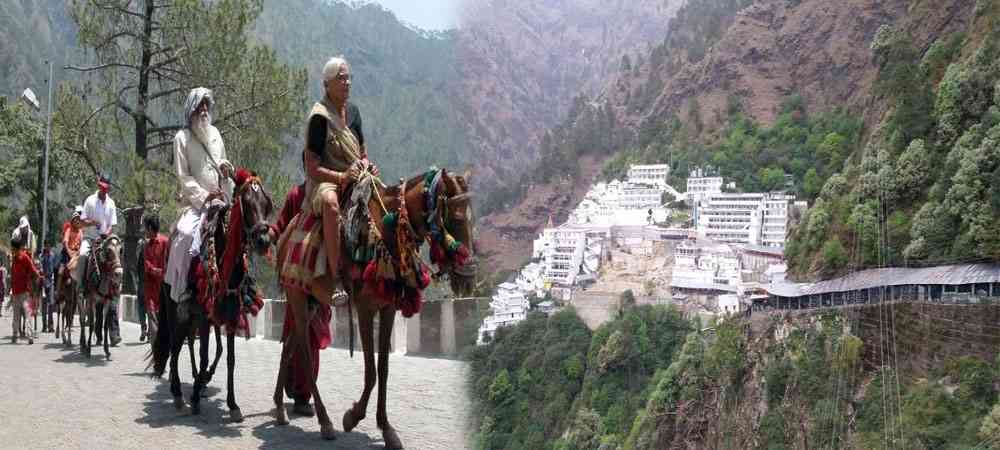 disease,Amarnath yatra,bacteria,vaishno devi,Horse,