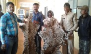 koria news news 