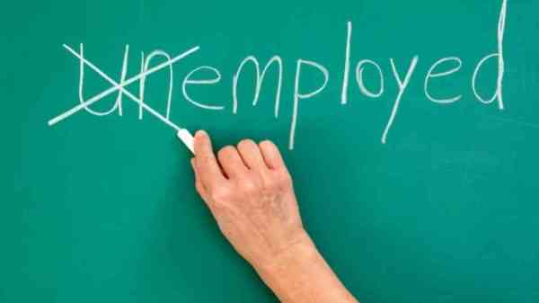 Job vacancy in Allahabad high court apply soon