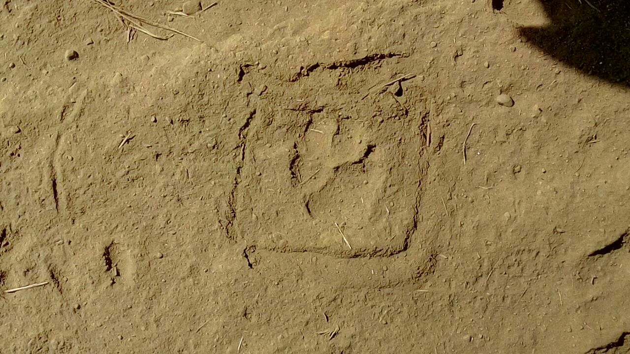Leopard Footprint Re-found in Kota Thermal
