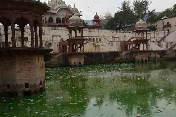 photos of bad condition of sagar jalashya alwar