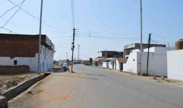 Photo: Harmad saatha is afraid of unhoney ...