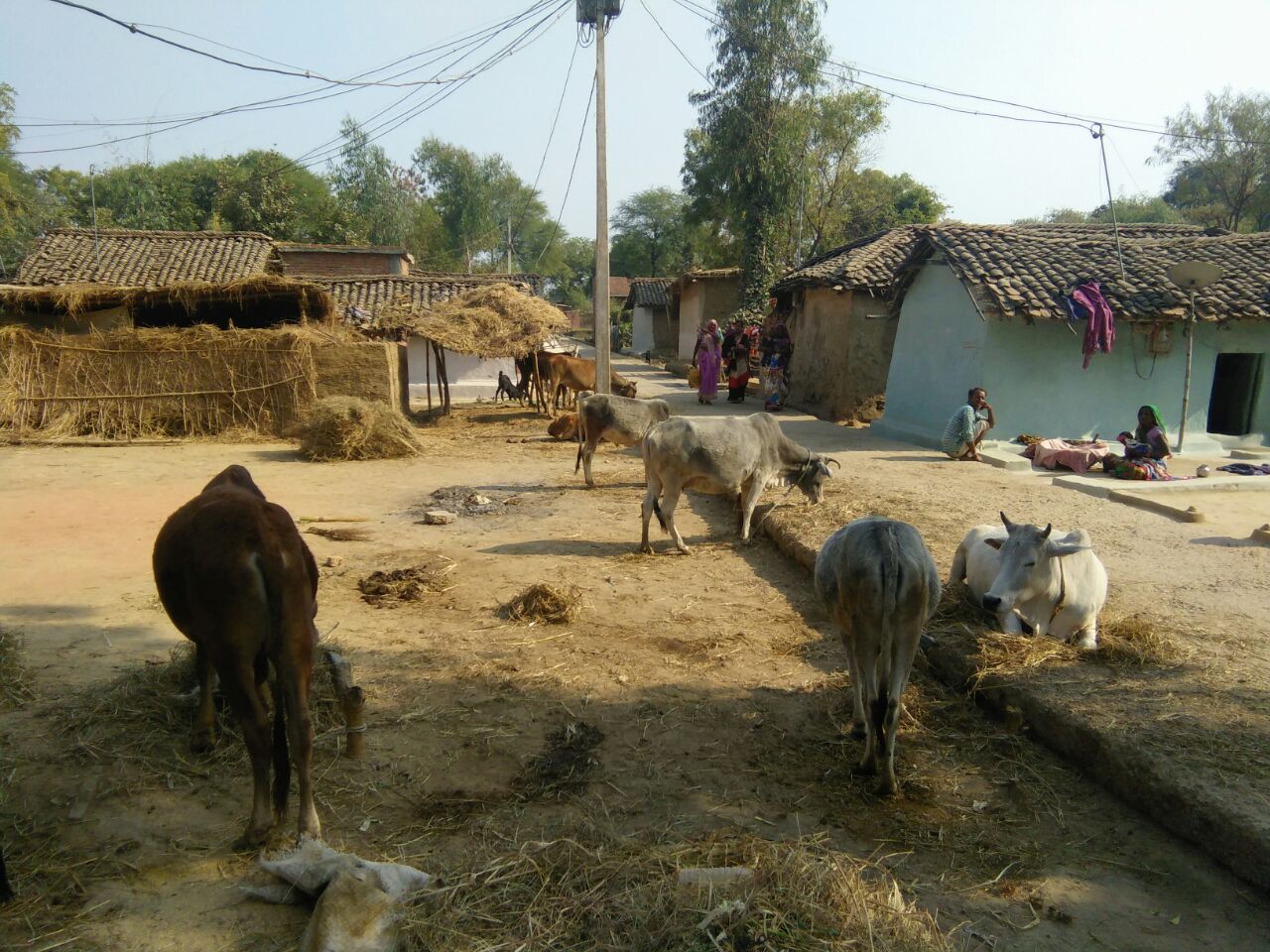 MP Adarsh village in crores of debt