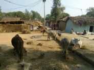 MP Adarsh village in crores of debt