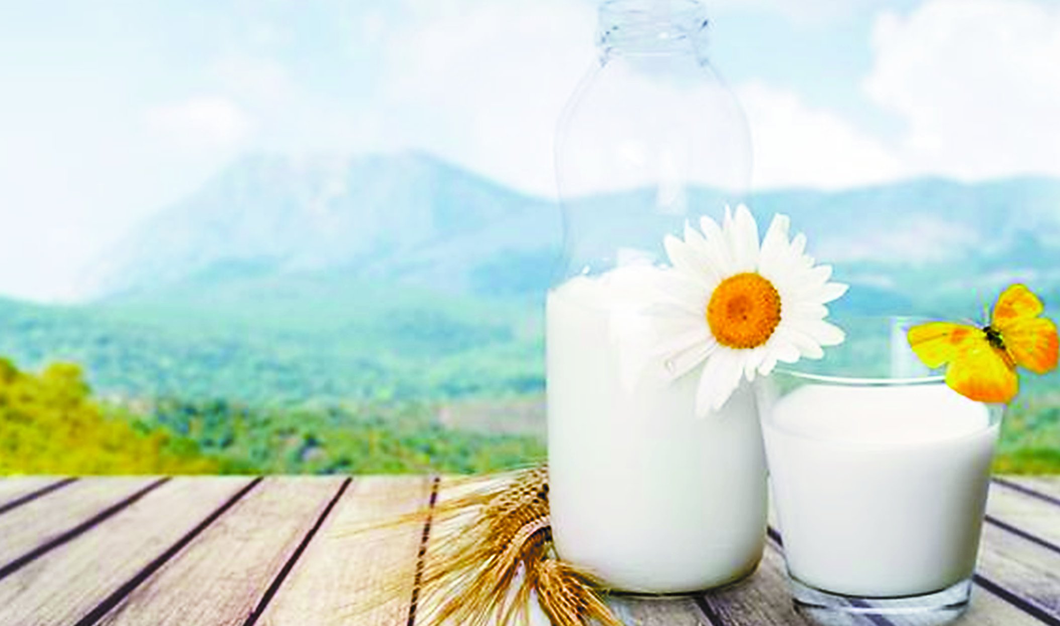 milk