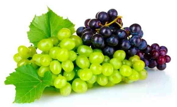  Grapes