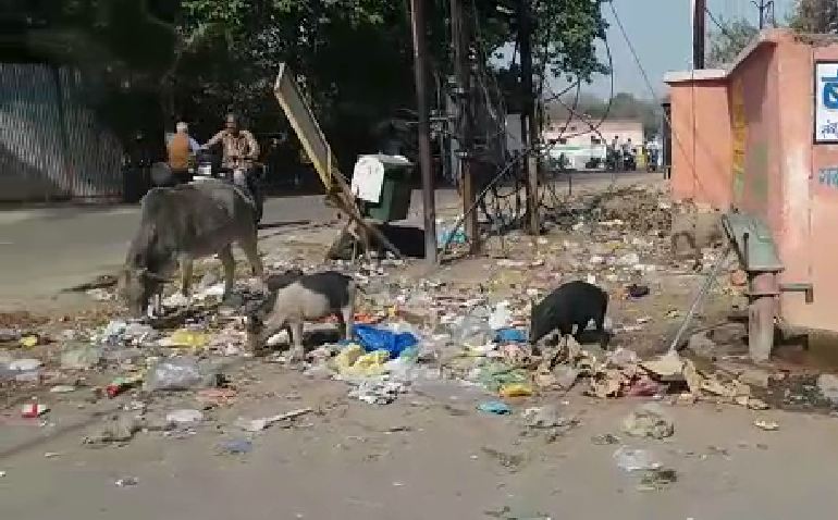 Work stop strike, cleaning, municipality, dirt