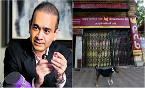 pnb scam: ED's raid on Gitanjali Jewelers jabalpur
