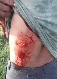 Panther attacked,navaatala village of Barmer