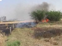 fire in farmer land court punish vidhyut vitaran nigam ajmer udaipur