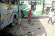 satna Cleanliness survey 2018